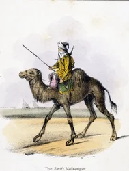 The Swift Messenger
