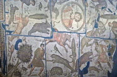 T fans Mosaic from fans, Turecko