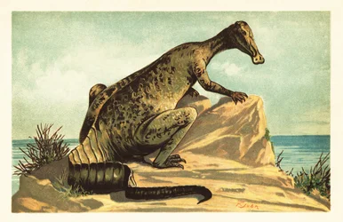 Trachodon mirabilis, vyhynulý dinosaurus hadrosaurad. 1908 (litografie)