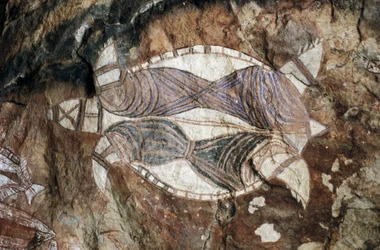 Želva, skalní malba, Arnhemská země, Severní teritorium, Austrálie, kultura Aboridžinců