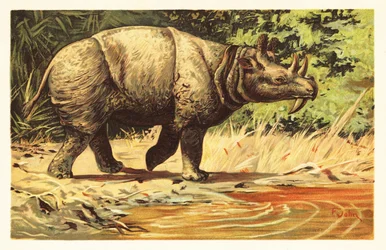 Uintatherium anceps, vyhynulý býložravý savec eocénu. 1908 (litografie)