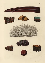 Odrůdy železné rudy. Ručně kolorovaná mědirytina podle ilustrace z knihy Georga Wolfganga Knorra Deliciae Naturae Selectae of Kabinet van Zeldzaamheden der Natuur, Blusse and Son, Norimberk.