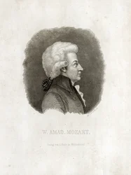 rytina Wolfgang Amadeus Mozart.