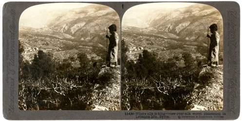 Plantáž bource morušového v libanonských horách, Sýrie, 1900.