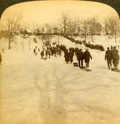 Kanadské zimní sporty - sáňkování, 1905.