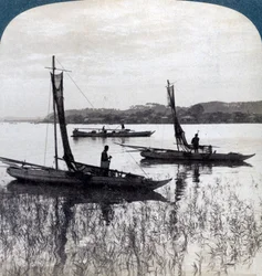 Rybářské lodě připlouvající domů při západu slunce, poblíž Jokohamy, Japonsko, 1904.