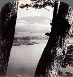Hora Fuji, při pohledu od severozápadu, přes borovice u jezera Motosu, Japonsko, 1904