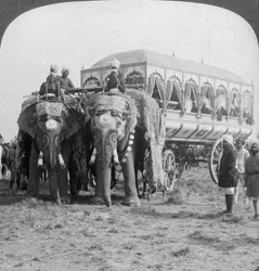 Bohatě zdobení sloni a kočár maharádži z Rewa v Dillí Durbar, Indie, 1903