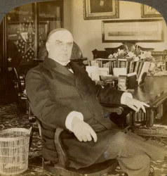 William McKinley, 25. prezident Spojených států, 1900