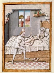Lékař ošetřuje miniaturního pacienta z německého překladu bajek „Kalila (Calila) a Dimna“ od Bidpaie. (ms. 1389, fol. 23) kolem 1480 Chantilly, muzeum Conde