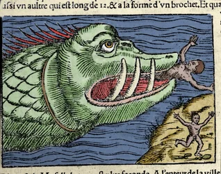 Mořské monstrum bije plavce poblíž pobřeží Norska. Rytina Olause Magnuse (1490 - 1557), švédského náboženského a geografa, „Historia de Gentis Septentrionalibus“, Benátky