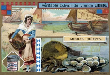 Sbírka mušlí a ústřic - chromo. Liébig, v. 1900