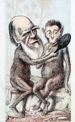 Komedie čerpající z Darwinovy teorie – v „London Sketchbook“