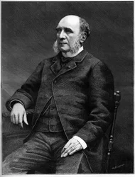 Duke Louis Charles Decazes (1819-1886), francouzský politik, ministr zahraničních věcí od roku 1873 do roku 1877.