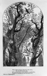 Ilustrace k „Ódě na slavíka““ od básníka Johna Keatse (1795-1821) 19. století