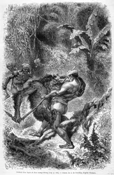 Ilustrace publikovaná ve vydání „Le Tour du monde“ z roku 1862 zobrazující bitvu mezi dayakem a orang outanem (orang-utan, orang outang, orang-utang) na ostrově Borneo. Rytina.