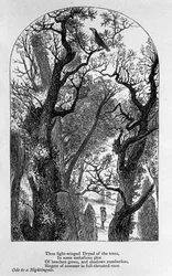 John Keats: Óda na slavíka