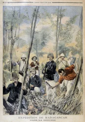 Expedice Madagaskar: v buši - v „“ Le Petit Journal“, srpen 1895