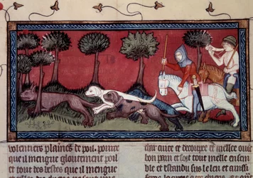 Miniaturní hon na lišku z rukopisu fr. 1297 „“ kniha krále Moduse a královny poměr“ od Henri de Ferrieres (14. století)