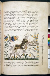 Nihāyat al-suʾl wa-al-umnīyah fī taʿlīm al-furūsīyah, Add MS 18866, f.122v, c.1371 (inkoust a pigment na papíře)
