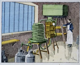 Pasterizace mléka - rytina, konec 19. století