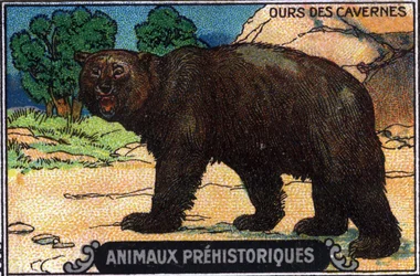 Prehistorické zvíře: jeskynní medvěd.