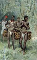 Resoling gumy v Kongu. Chromolitografie konce 19. století.
