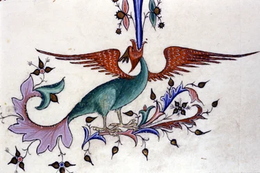 Vyobrazení dračího křídla. Miniatura z rukopisu ze 14. století. Milán, Biblioteca Nazionale Braidense.