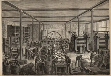 Guma: gumárna. Rytina z roku 1885 v „“Les arts et metiers illustres““ od Adolphe BITARDA.