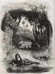 Ruggiero na ostrově Alcina, - 1851 rytina z básně Orlando furioso (1516) od Ludovica Ariosta, - Edice přeložená z italštiny hrabětem z Tressanu a vydaná Gustavem Harvardem 1851