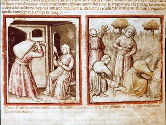Ruth a Noemi (Naomi, Noemie) pracující na polích miniatury Boaz (Booz) z kodexu 212 (nebo kodexu padovano nebo Bible z Padovy) 1390-1400 Rovigo, Accademia dei Concordi