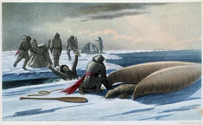 Lov tuleňů: “” Lov tuleňů v zálivu”” - v “”Exploration of the Labrador Peninsula”” od Hind, Londýn