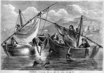 Houbaři na syrském pobřeží v roce 1867
