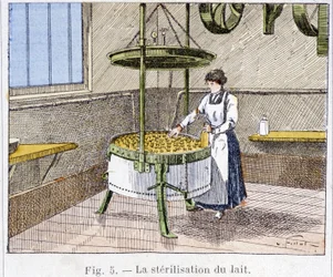 Sterilizace mléka - rytina, konec 19. století
