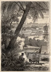 Výprava do jižních zemí (1800-1803) od Nicolase Baudina (1754-1803): Pohled na Sydney (Austrálie) - ilustrace z „Velkých námořníků 18. století““