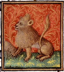 Lev. Miniatura horoskopu. Rukopis 15. století. Bibl. Trivulziana, Milán.