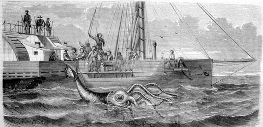 První obří krakatice ulovená roku 1861 francouzskou korvetou Alecton. Když ji posádka vytahovala na palubu, přetrhla se vejpůl a zmizela na mořském dně. Rytina z konce 19. století. Breton