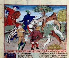 Hon na divokou kočku Miniatura převzatá z „Knihy lovu“ od Gastona III. Phoeba, hraběte z Foix, lorda z Bearnu (1331-1391)