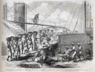 Přeprava uhlí na palubě parníků v Kingstonu (Jamajka) - Nakládání uhlí v Kingstonu - Jamajka - 1866 Rytina z „“The Illustrous Universe““ 1866