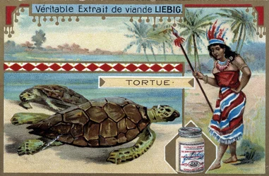 Želva se ženou oblečenou jako rodačka z Jižní Ameriky, vybavená loveckým kopím - Liebigova chromolitografie