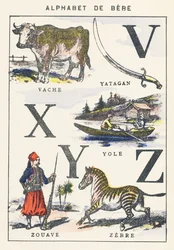 V X Y Z: kráva, yole, zouave, zebra