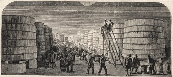 Pohled do sklepení na zámku - Lafitte v roce 1860