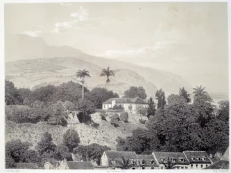Pohled na domy z Boulevard de la Comedie v Saint Pierre na Martiniku na Antilách. Tisk podle fotografie z konce 19. století Chartres musee des Beaux Arts