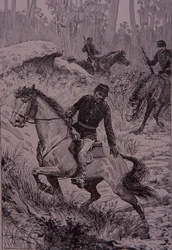 Černí stopaři pronásledující australské psance