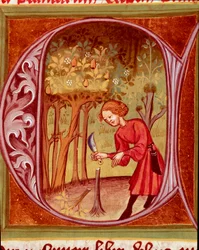 Botanika: zahradník přesazující rostlinu. Miniatura z díla „Rustican neboli Kniha o užitku venkova a zemědělství“ (Rerum ruralium commodorum) od Pietra de Crescenziho (Crescent Stone nebo Crescens Stone) (1233-1320), 14. století. Praha, Národní knihovna