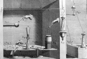 Ilustrace experimentů Luigiho Galvaniho, italského fyzika a lékaře (1737 - 1798) vysvětlujících průchod elektrického proudu pohybujícím se nohama žáby.