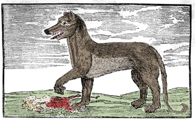 La bete du Gevaudan Rytina z „Kroniky svatého Jakuba“