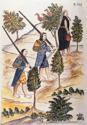 Motilones Indiáni jedoucí na lov, z knihy „Trujillo del Peru“ nebo „Códice Martínez Compañón“, od Baltazara Martineze Compañóna y Bujandy, biskupa z Trujillo (1782-1785)