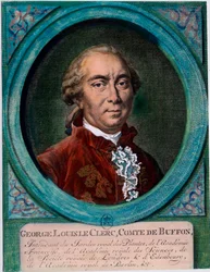 Portrét George Louise Le Clerca, hraběte z Buffonu (1707-1788), francouzského přírodovědce a spisovatele. Rytina 18. století. Soukromá sbírka.