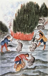 Lov králíků, z knihy „Trujillo del Peru“ nebo „Códice Martínez Compañón“, od Baltazara Martineze Compañóna y Bujandy, biskupa z Trujillo (1782-1785)